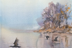 dunav-akvarel